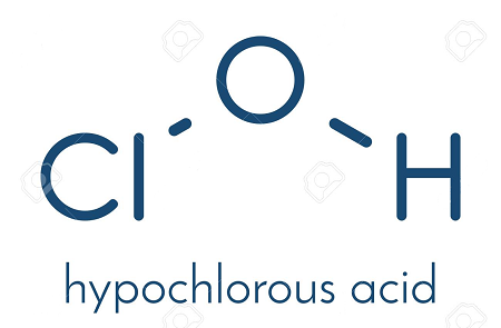 ¿Cuáles son las funciones del ácido hipocloroso?